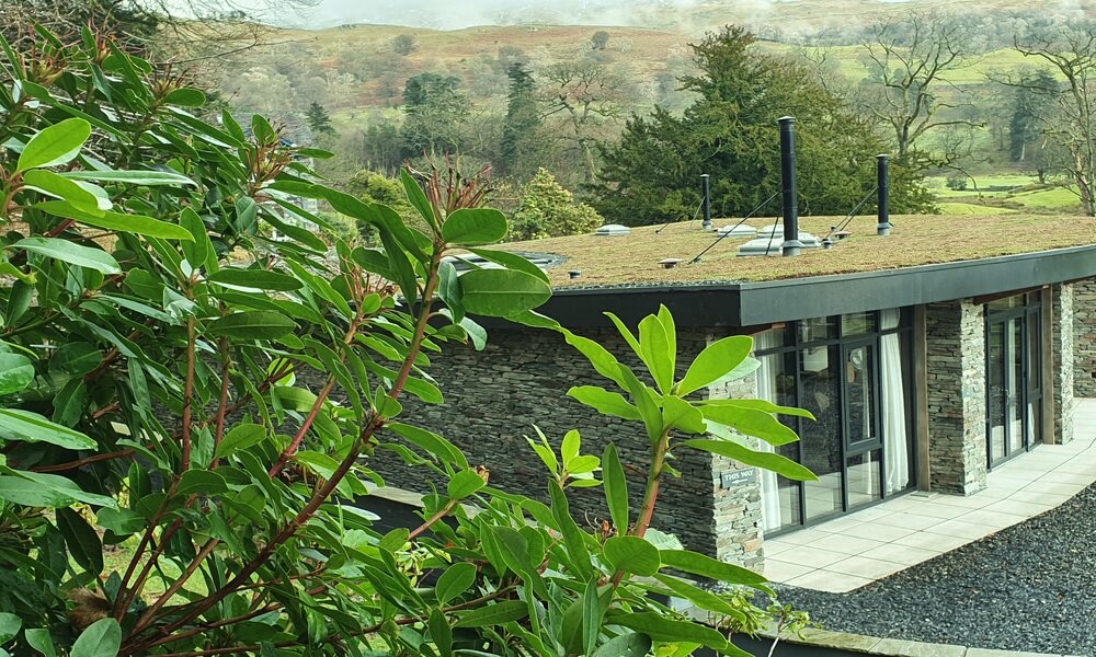 rsz_new_green_roof_.jpg